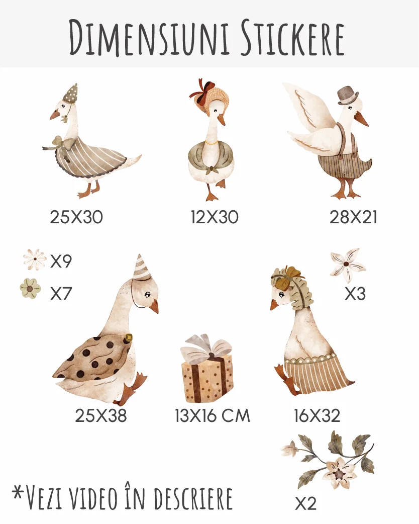 Dimensiune autocolante si elemente individuale, flori, gaste, culori neutre, pictat acuarela