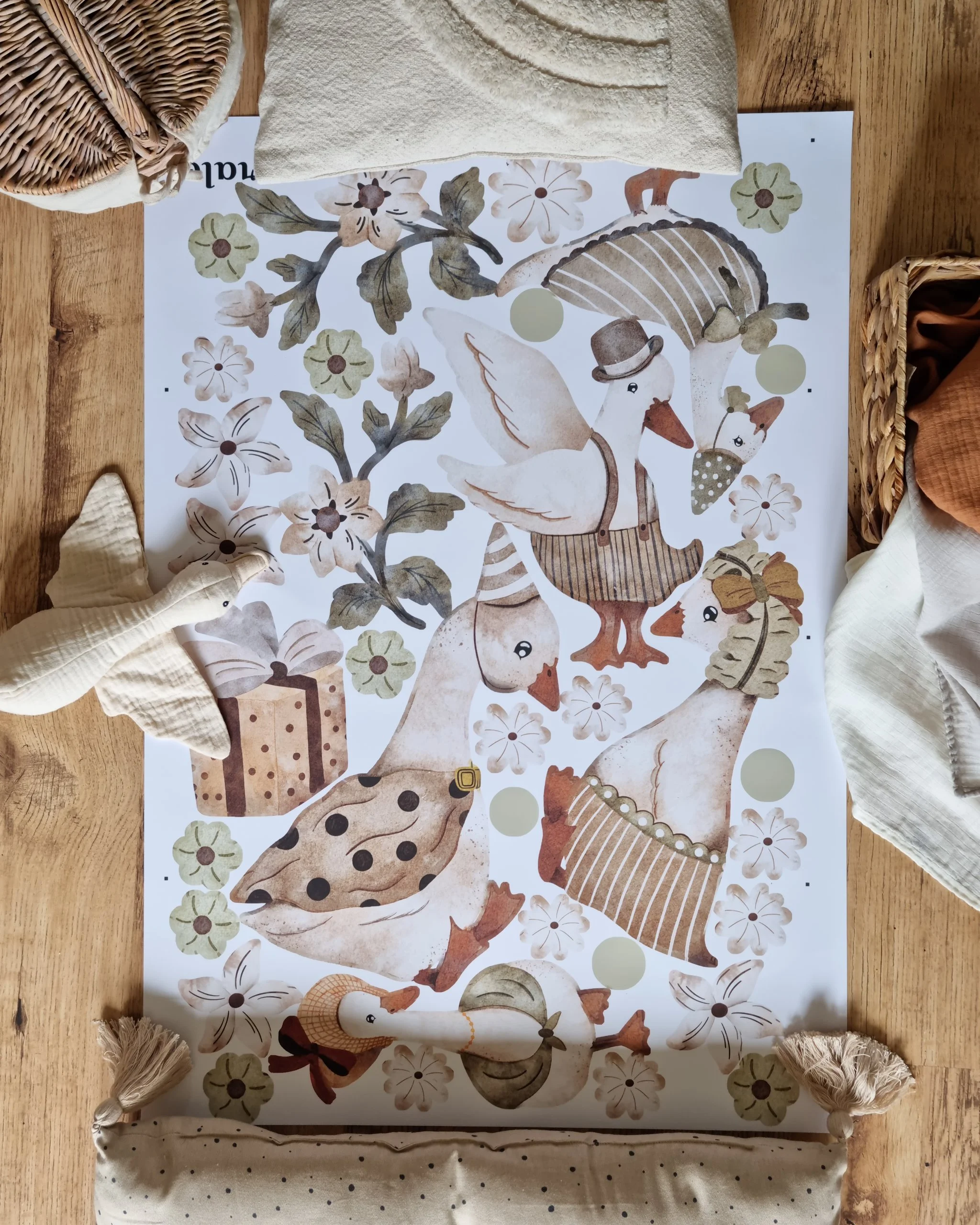 prezentare model gascute,pasari in acuarela