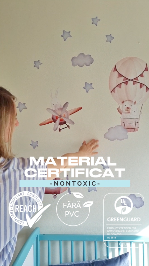 Prezentare Stickere Avionașe de perete