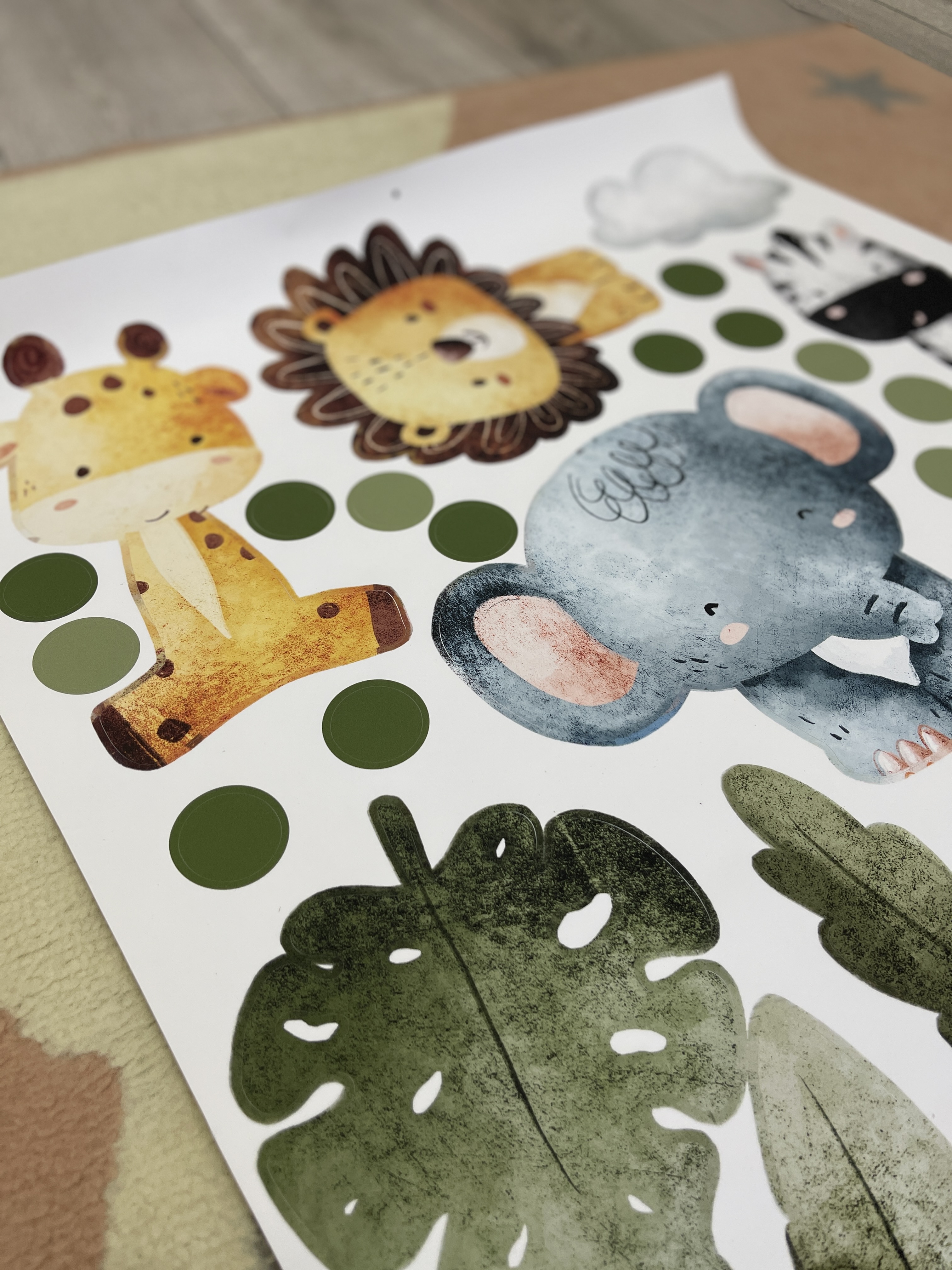 Image #12 from Butuza Andreea