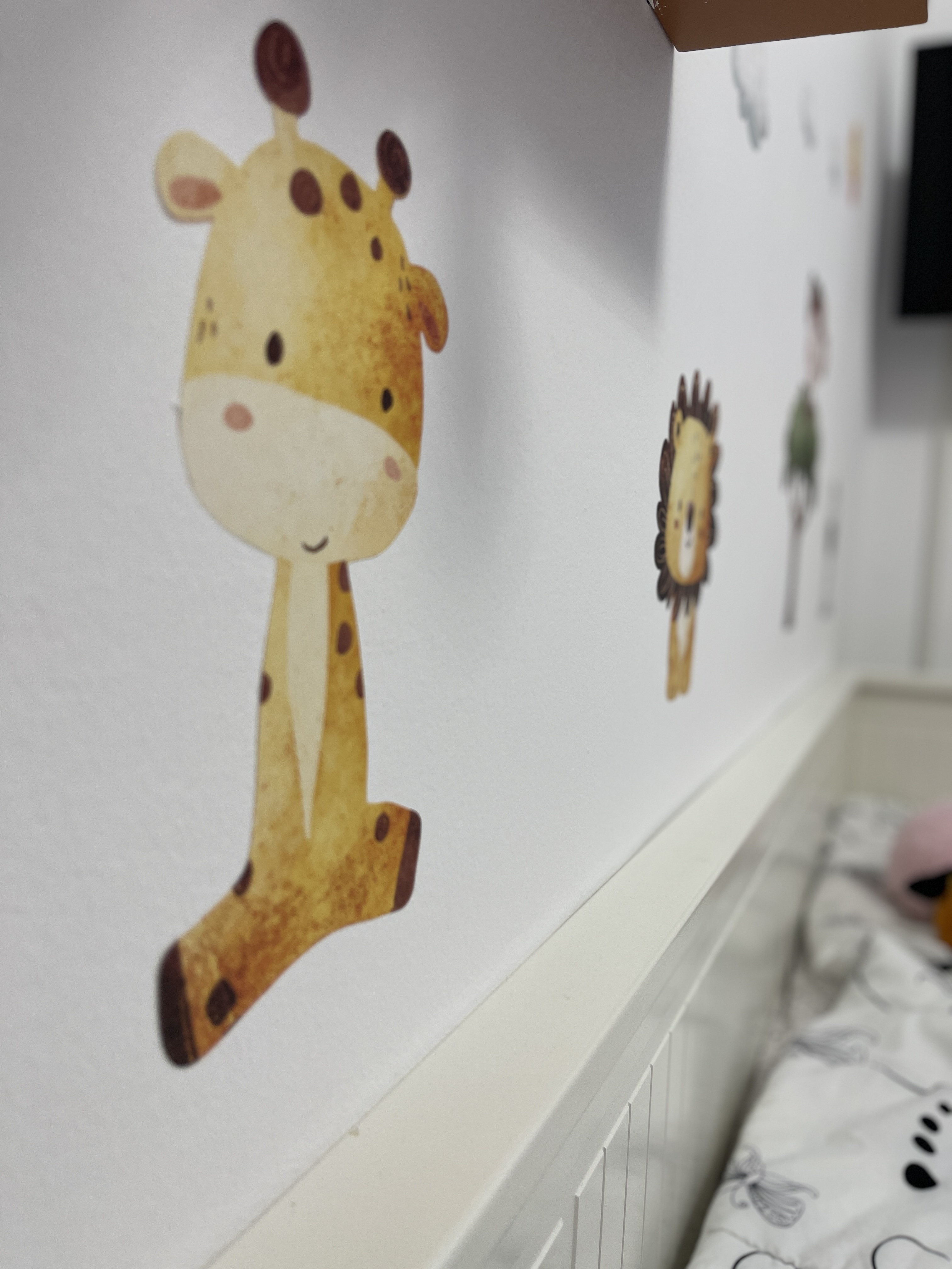 Image #9 from Butuza Andreea